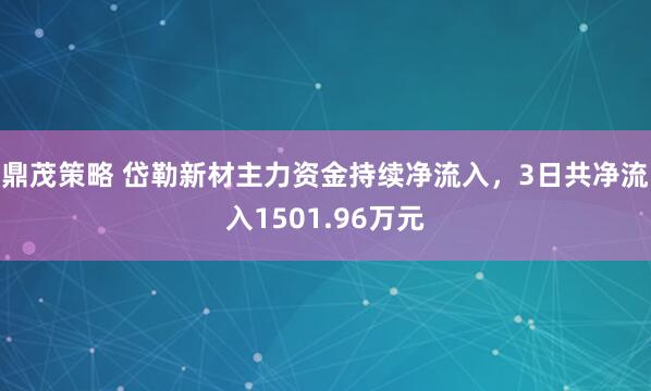 鼎茂策略 岱勒新材主力资金持续净流入，3日共净流入1501.96万元