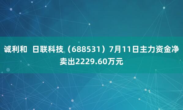 诚利和  日联科技（688531）7月11日主力资金净卖出2229.60万元